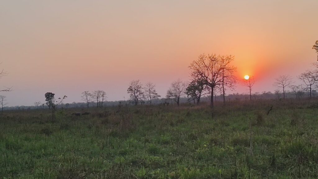 উত্তরবঙ্গে ভারী বৃষ্টির হলুদ সতর্কতা, দক্ষিণবঙ্গে হালকা বৃষ্টির পূর্বাভাস