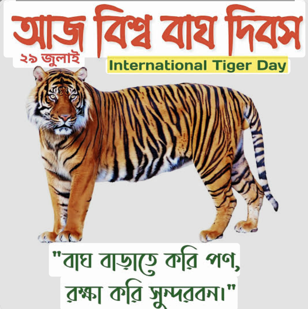 আন্তর্জাতিক বাঘ দিবস ২০২৬: বাঘ সংরক্ষণে সচেতনতার বার্তা, কেন এত গুরুত্বপূর্ণ এই দিন?