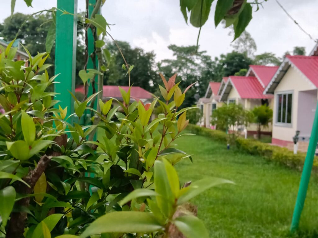 বঙ্গোপসাগরে নিম্নচাপের প্রভাব, রাজ্যজুড়ে বজ্রবিদ্যুৎসহ বৃষ্টির পূর্বাভাস