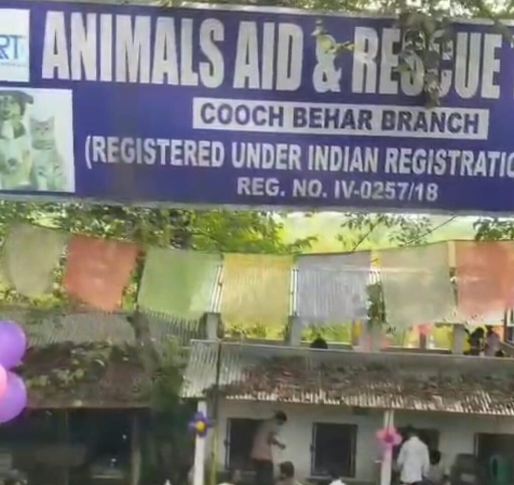 International Dog Day-তে কোচবিহারে AART-এর মহাভোজ, পথকুকুরদের পরানো হল রিফ্লেকটিভ কলার