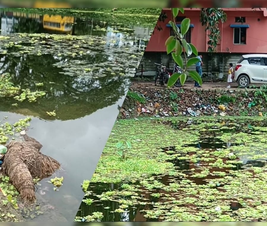 যমুনা দিঘি পরিষ্কারের কাজ পরিদর্শন করছেন পশ্চিমবঙ্গ বিধানসভার স্পিকার তথা কোচবিহার দক্ষিণের বিধায়ক রথীন্দ্র বোস।