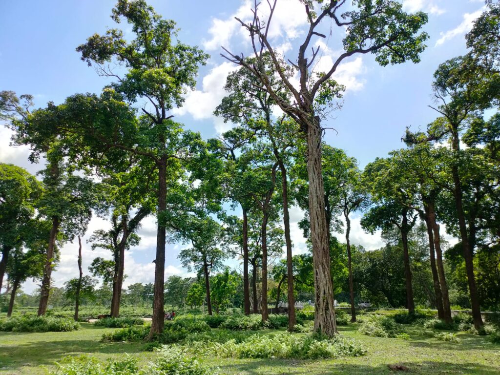 মেঘলা আকাশে বৃষ্টির পূর্বাভাস, ভ্যাপসা গরমে অস্বস্তি বাড়তে পারে কোচবিহারে