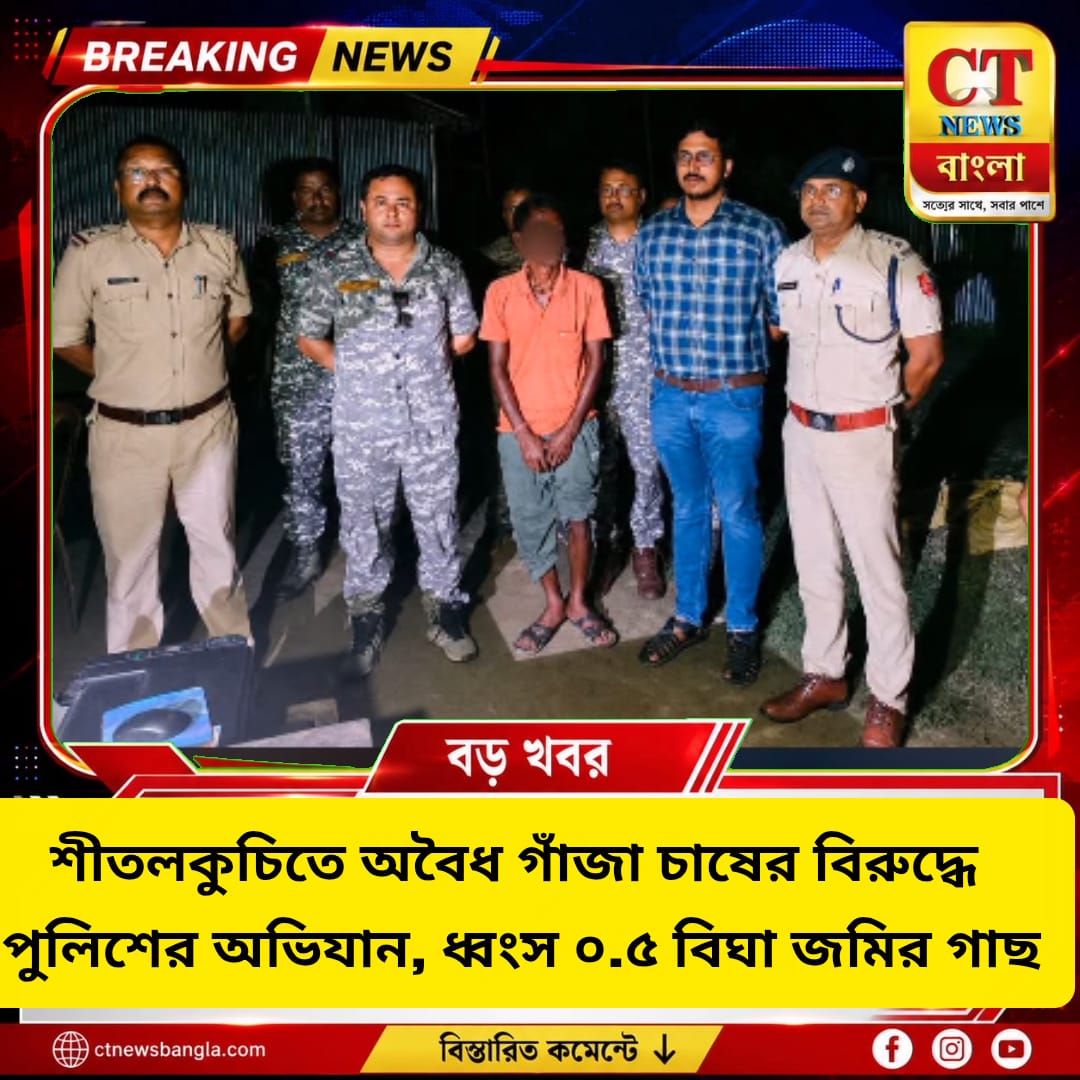 অবৈধ গাঁজা চাষ ধ্বংস, গ্রেফতার ১