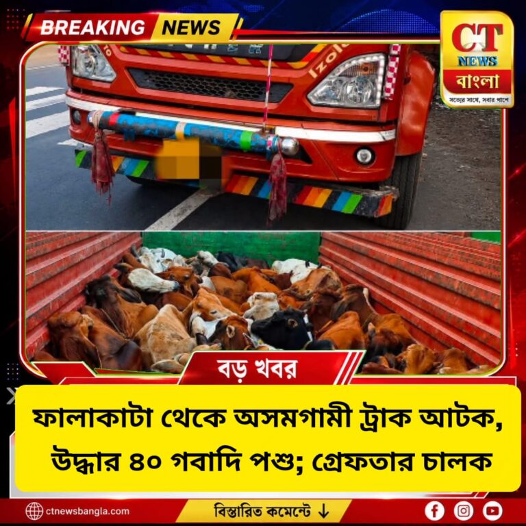 ফালাকাটা থেকে অসমগামী ট্রাক আটক, উদ্ধার ৪০ গবাদি পশু; গ্রেফতার চালক