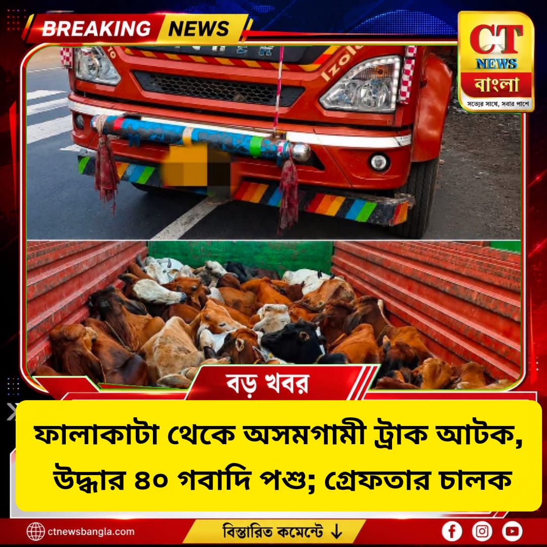 ফালাকাটা থেকে অসমগামী ট্রাক আটক, উদ্ধার ৪০ গবাদি পশু; গ্রেফতার চালক