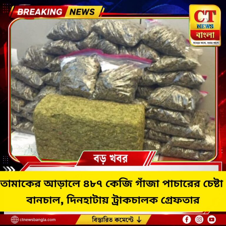 তামাকের আড়ালে ৪৮৭ কেজি গাঁজা পাচারের চেষ্টা বানচাল, দিনহাটায় ট্রাকচালক গ্রেফতার