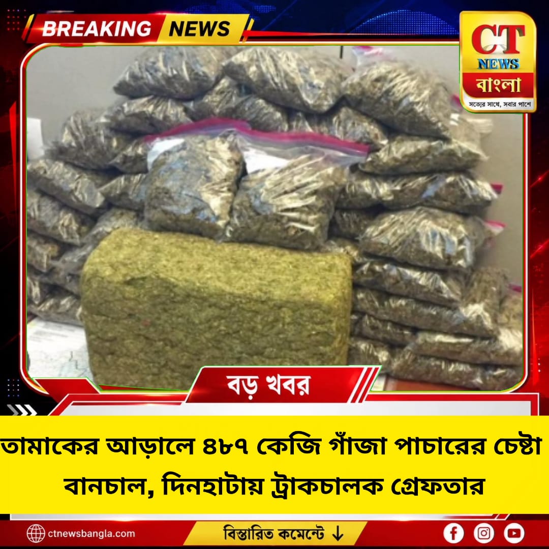 তামাকের আড়ালে ৪৮৭ কেজি গাঁজা পাচারের চেষ্টা বানচাল, দিনহাটায় ট্রাকচালক গ্রেফতার