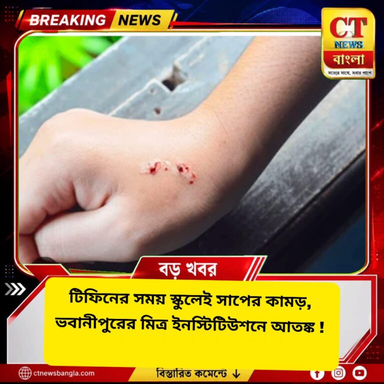ভবানীপুরের স্কুলে টিফিনে সাপের কামড়, হাসপাতালে প্রথম শ্রেণির ছাত্র