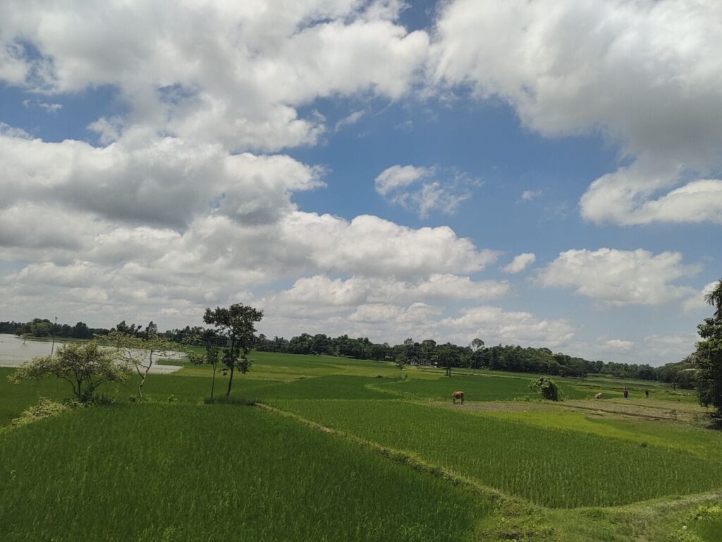 মেঘলা আকাশ, বৃষ্টি ও বজ্রপাতের সম্ভাবনা—আজ কোচবিহারে সর্বোচ্চ তাপমাত্রা ৩৩ ডিগ্রি
