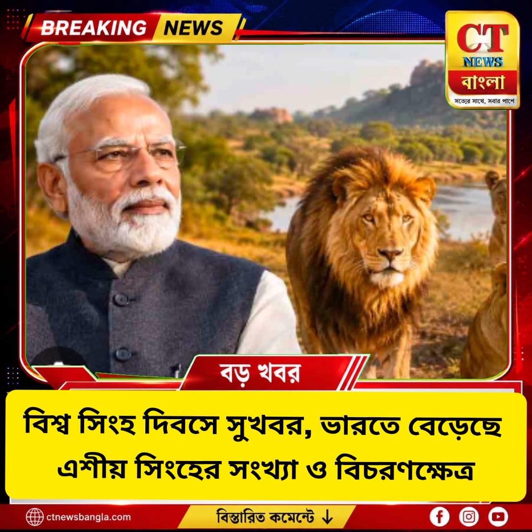 বিশ্ব সিংহ দিবসে সুখবর, ভারতে বেড়েছে এশীয় সিংহের সংখ্যা ও বিচরণক্ষেত্র