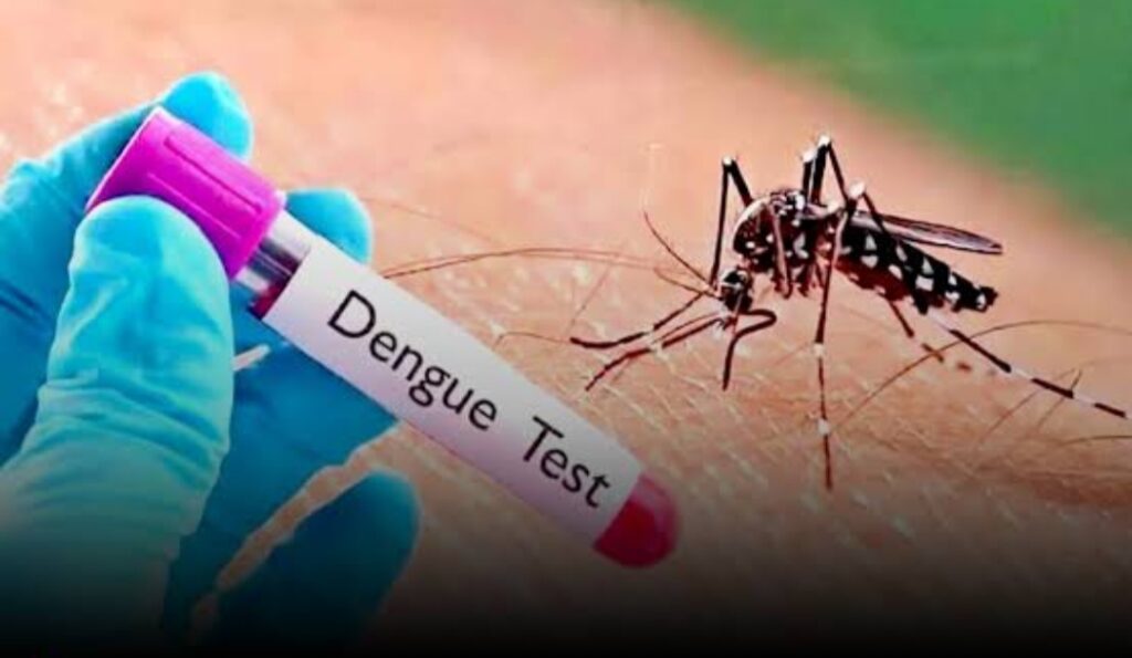 রাজ্যে ডেঙ্গুর দাপট, আক্রান্ত ৫ হাজার ছাড়াল! নজরদারিতে ৮৫ ব্লক, ২৭৮ পঞ্চায়েত ও ২৯ পুরসভা