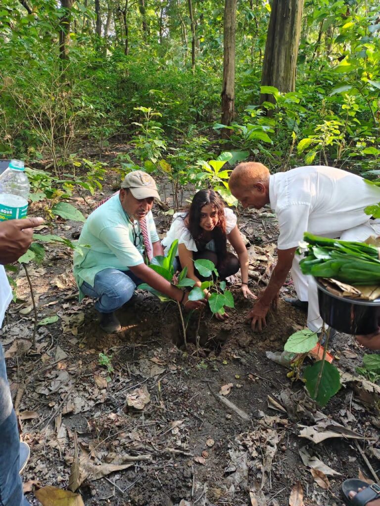 উত্তরবঙ্গে কমছে বৃষ্টির দাপট, পুজোর আগে কোথায় কেমন থাকবে আবহাওয়া?