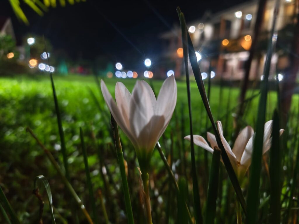 উত্তরবঙ্গে ভারী বৃষ্টির সতর্কতা, দক্ষিণবঙ্গেও বজ্রবিদ্যুৎ-সহ বৃষ্টির পূর্বাভাস