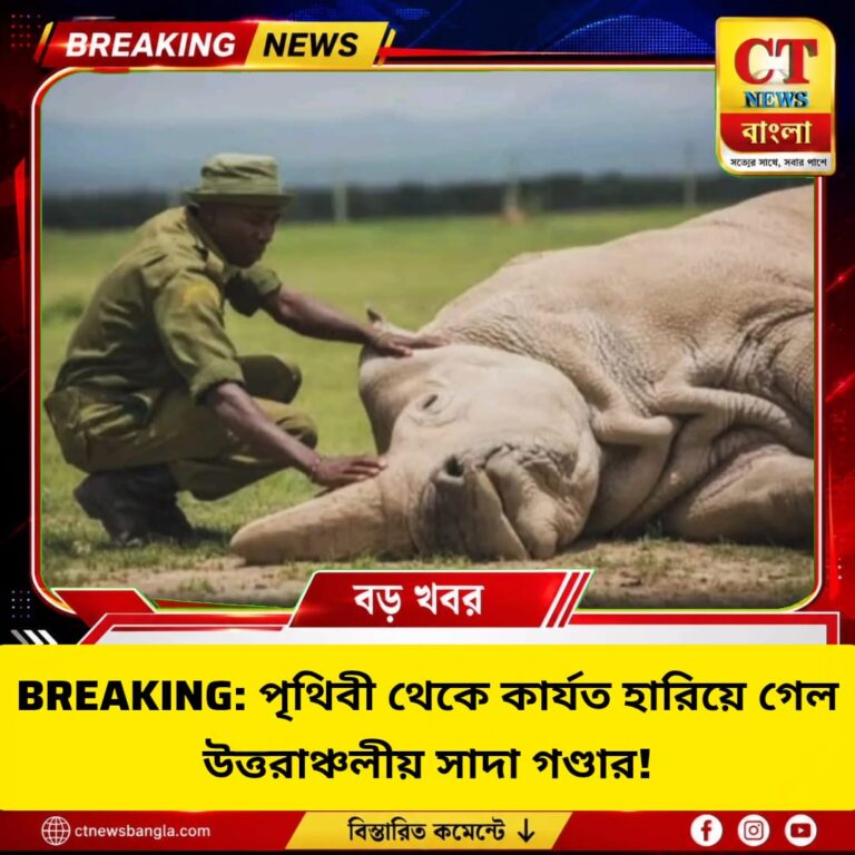 উত্তরাঞ্চলীয় সাদা গণ্ডার বিলুপ্তির পথে, বেঁচে মাত্র ২ স্ত্রী