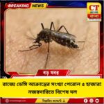 রাজ্যে ডেঙ্গি আক্রান্ত ৫ হাজার পেরোল, নজরদারিতে বিশেষ ‘ডেঙ্গি অবজার্ভার টিম’