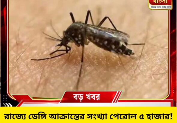রাজ্যে ডেঙ্গি আক্রান্ত ৫ হাজার পেরোল, নজরদারিতে বিশেষ ‘ডেঙ্গি অবজার্ভার টিম’