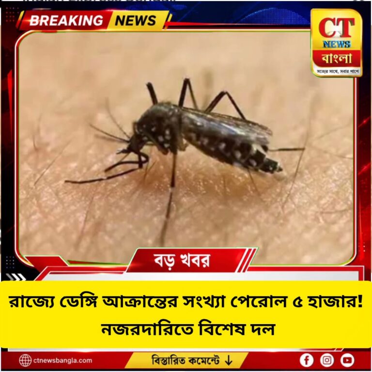 রাজ্যে ডেঙ্গি আক্রান্ত ৫ হাজার পেরোল, নজরদারিতে বিশেষ ‘ডেঙ্গি অবজার্ভার টিম’