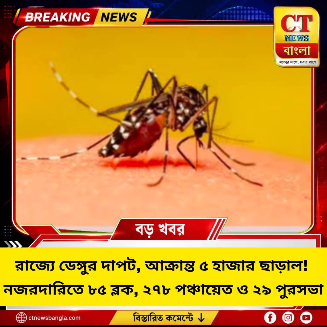 রাজ্যে ডেঙ্গুর দাপট, আক্রান্ত ৫ হাজার ছাড়াল! নজরদারিতে ৮৫ ব্লক, ২৭৮ পঞ্চায়েত ও ২৯ পুরসভা