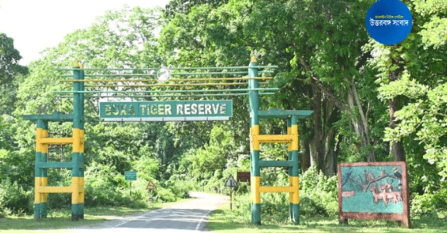 বক্সায় নতুন বাঘিনী, ৯ অক্টোবর পর্যন্ত পর্যটকদের প্রবেশ নিষেধ