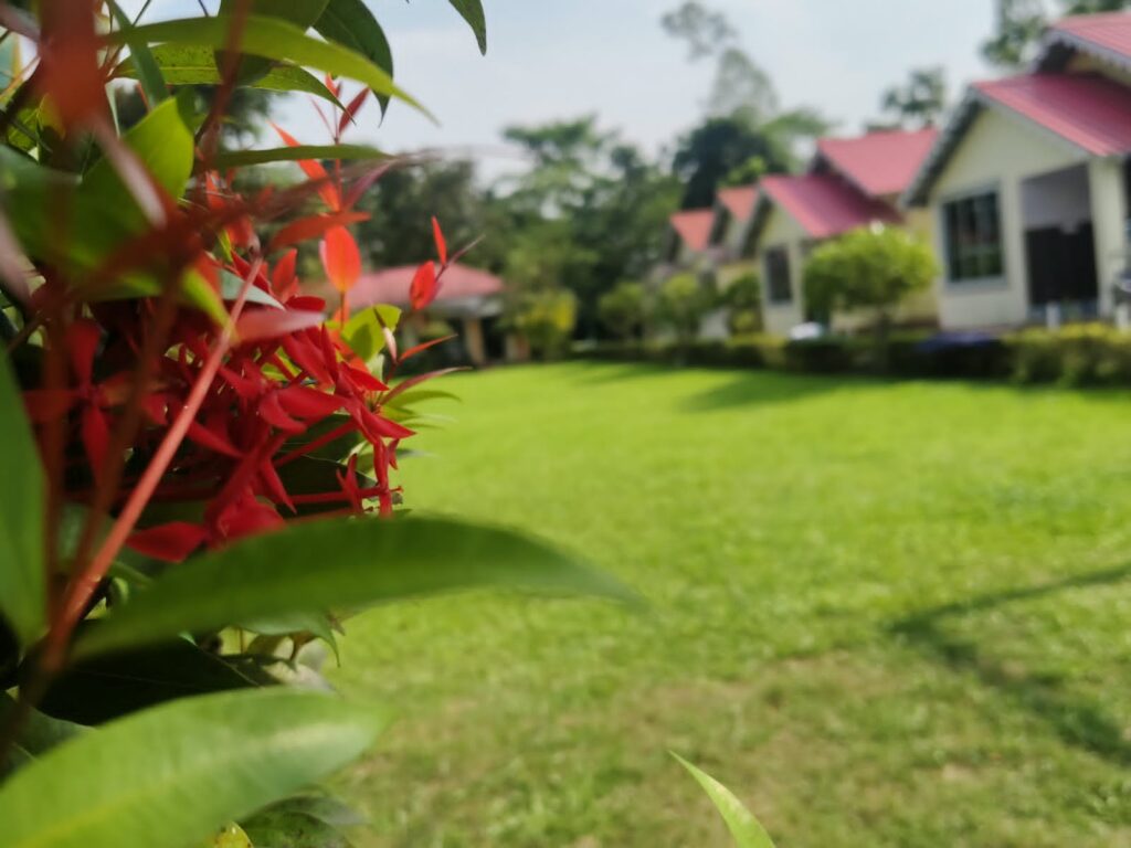 চিলাপাতা টেন্ট হাউস 