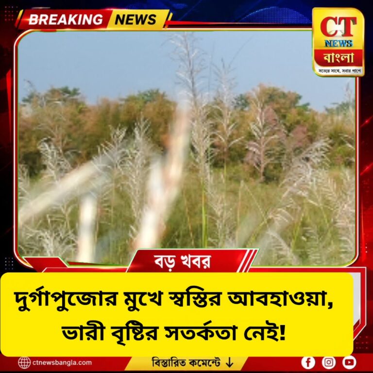 দুর্গাপুজোর মুখে স্বস্তির আবহাওয়া, ভারী বৃষ্টির সতর্কতা নেই
