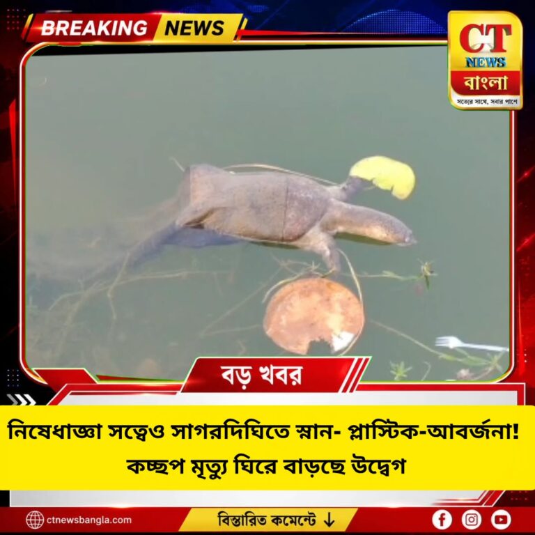 সাগরদিঘিতে নিষেধাজ্ঞা অমান্য করে স্নান, প্লাস্টিক-আবর্জনা! কচ্ছপ মৃত্যু ঘিরে উদ্বেগ