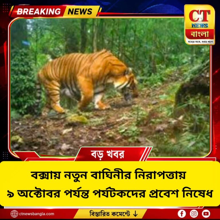 বক্সায় নতুন বাঘিনী, ৯ অক্টোবর পর্যন্ত পর্যটকদের প্রবেশ নিষেধ